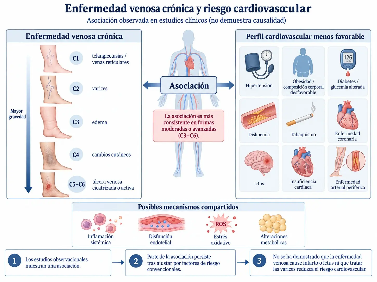 Diagrama sobre la relación entre enfermedad venosa crónica y riesgo cardiovascular